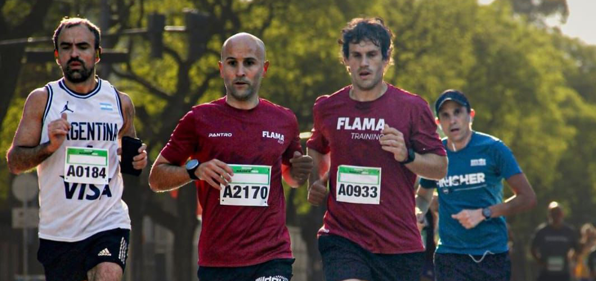 Flama Training